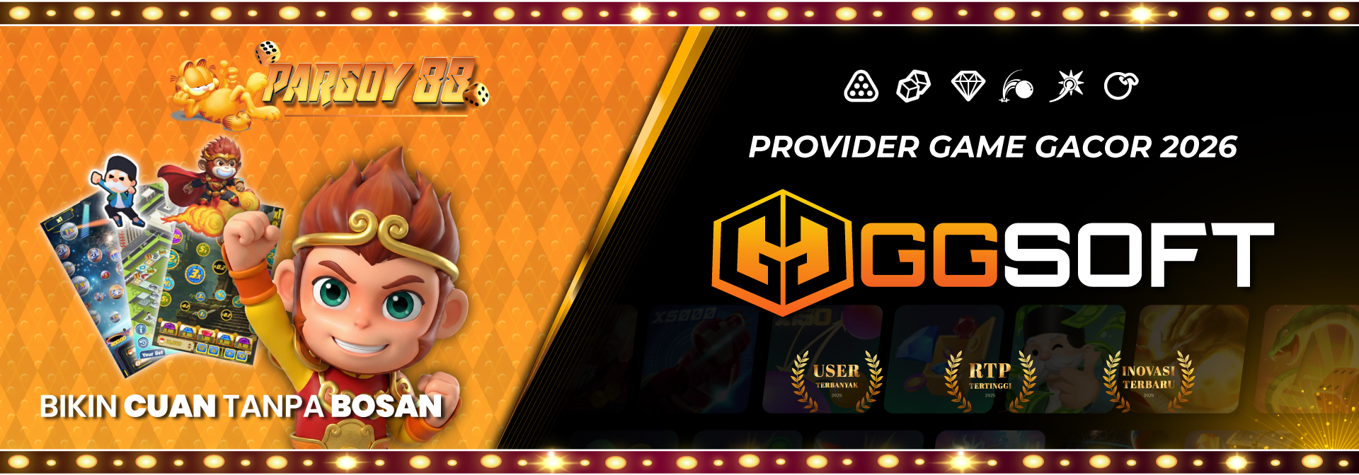 PROVIDER GGSOFT
